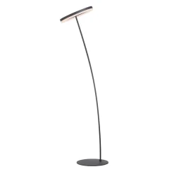 Paul Neuhaus Gulvlamper > Titus LED-gulvlampe antracit dæmper