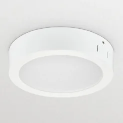 Philips Professional Loftlamper|Indbygningsspots > Påbygget LED-downlight DN145C LED20S/830 PSU II WH