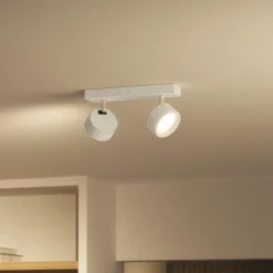 Loftlamper|Loftlamper ^ Philips Bracia LED-loftspot med 2 lyskilder, hvid