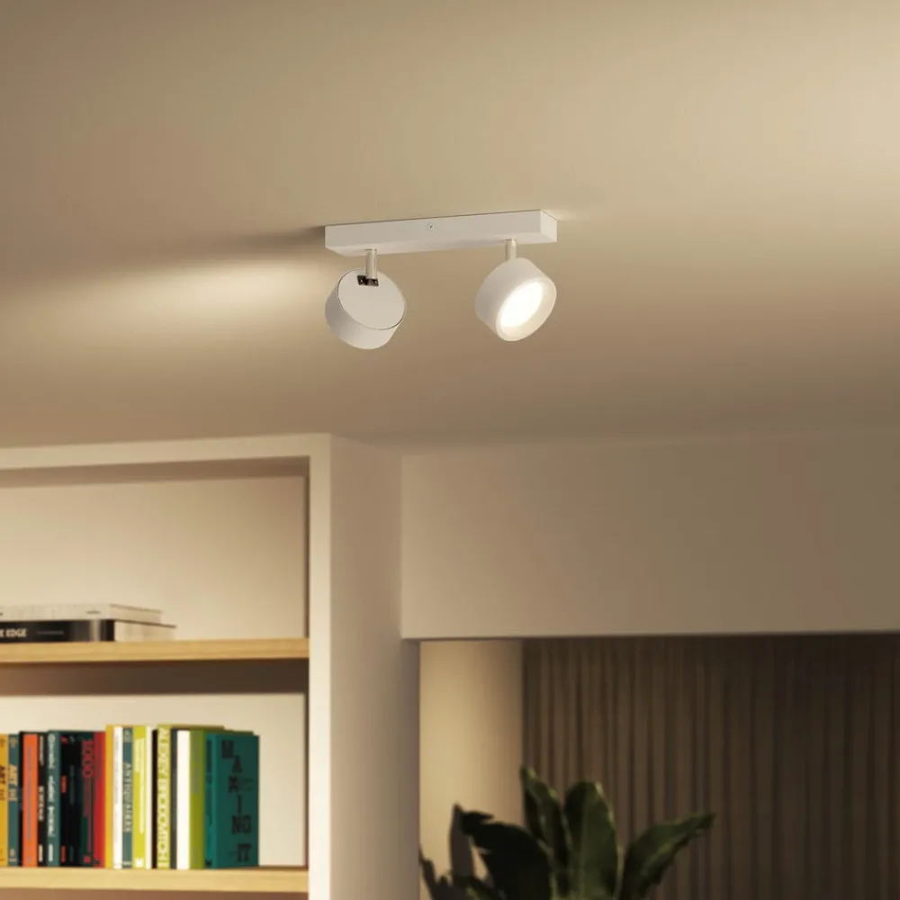 Loftlamper|Loftlamper ^ Philips Bracia LED-loftspot med 2 lyskilder, hvid