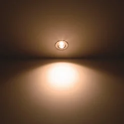 Philips Loftlamper > Dive LED-indbygningsspot IP65 rundt sølv