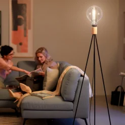 Filament Pære ^ Philips Giant Globe røgfarvet LED-pære E27 6,5W
