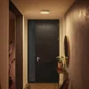 Philips Hue Loftlamper > Enrave LED-loftslampe 26,1 cm hvid