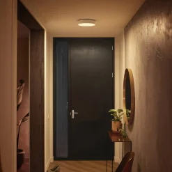 Philips Hue Loftlamper > Enrave LED-loftslampe 26,1 cm hvid