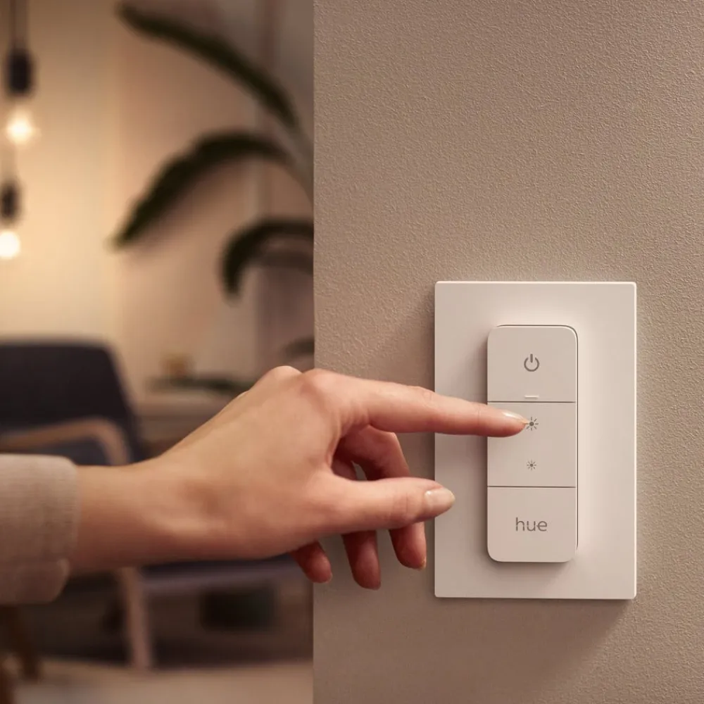 Loftlamper|Loftlamper ^ Philips Hue Enrave LED-loftslampe 38,1 cm sort