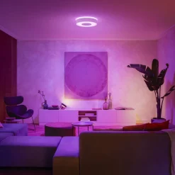 Philips Hue Loftlamper > Infuse LED-loftslampe, dæmpbar, 38,1 cm, hvid