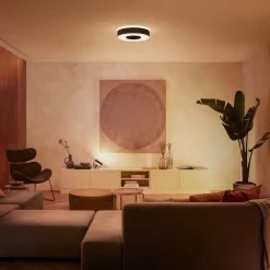 Loftlamper ^ Philips Hue Infuse LED-loftslampe, 38,1 cm, sort, dæmpbar.