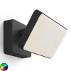 Philips Hue Udendørs Spot > White+Color Discover LED-udendørsspot