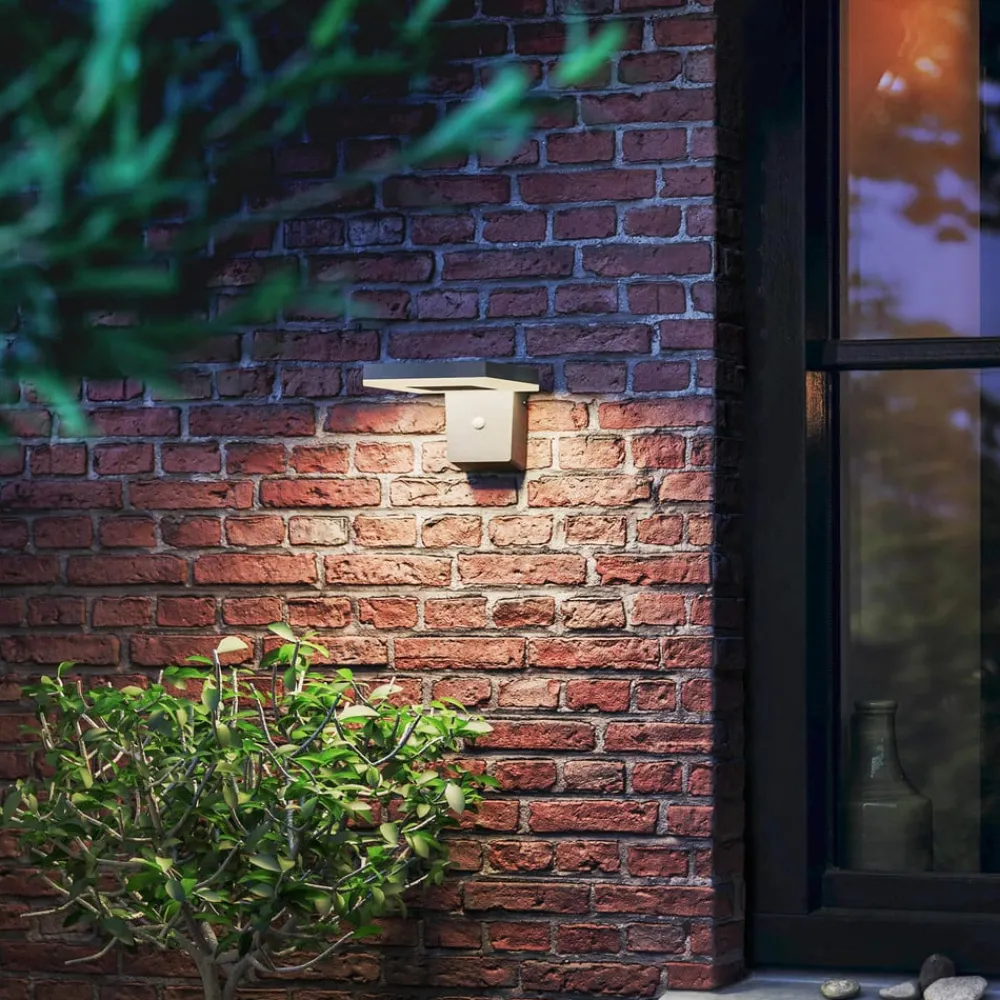 Philips Solcelle Lampe Med Sensor|Væglampe Med Sensor > LED-solcellelampe til vægmontering Zonal, hoved 16 x 16 cm