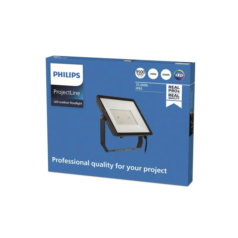 Philips Udendørs Spot > ProjectLine udendørs LED-spot 6.500K 100W