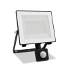 Philips Udendørs Spot > udendørs LED-spot Lois UE Sensor, 14 W, 5.000 K IP65