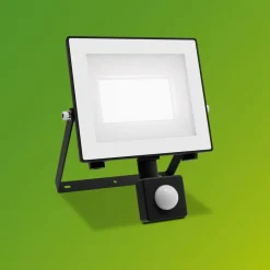 Philips Udendørs Spot > udendørs LED-spot Lois UE Sensor, 14 W, 5.000 K IP65