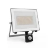 Udendørs Spot ^ Philips udendørs LED-spot Lois UE Sensor, 24 W, 3.000 K IP65