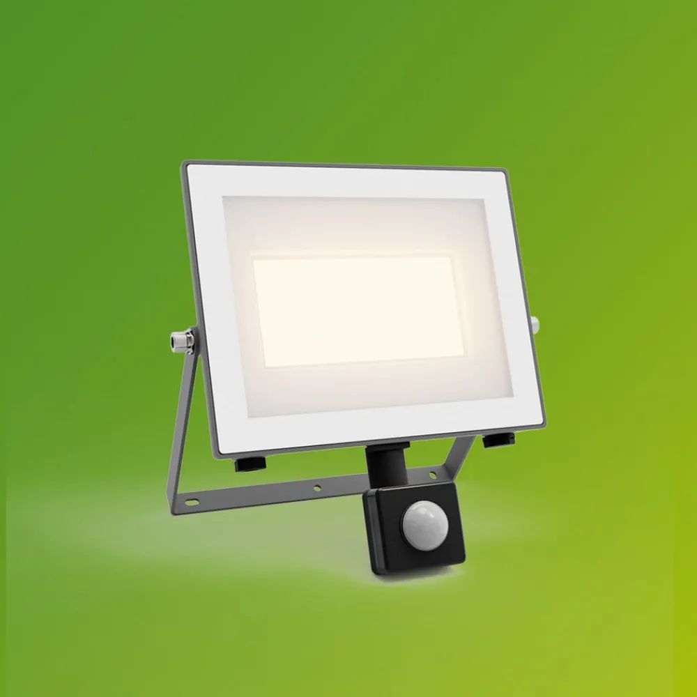 Udendørs Spot ^ Philips udendørs LED-spot Lois UE Sensor, 24 W, 3.000 K IP65