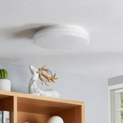PRIOS Arbejdsrum/Kontor|Loftlamper > Artin LED-loftlampe, sensor, rund, 22 cm