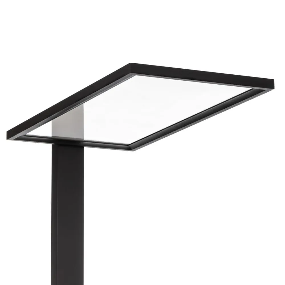 PRIOS Arbejdsrum/Kontor|Gulvlamper > LED-gulvlampe til kontor Taronis, sort, 195 cm, dæmpbar