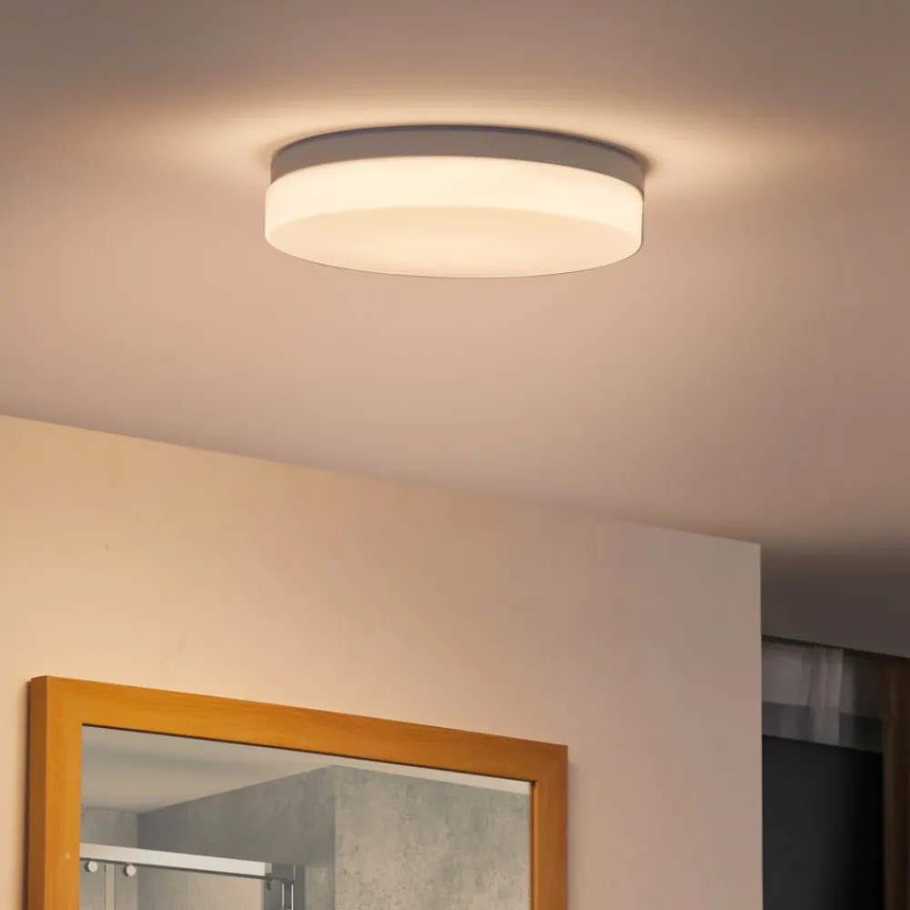 PRIOS Loftlamper > Wynion LED-loftslampe CCT DIP-kontakt 30 cm