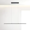 PURE Pendellamper > LED hængelampe Lite, antracit, 100 cm, CCT, dæmpbar