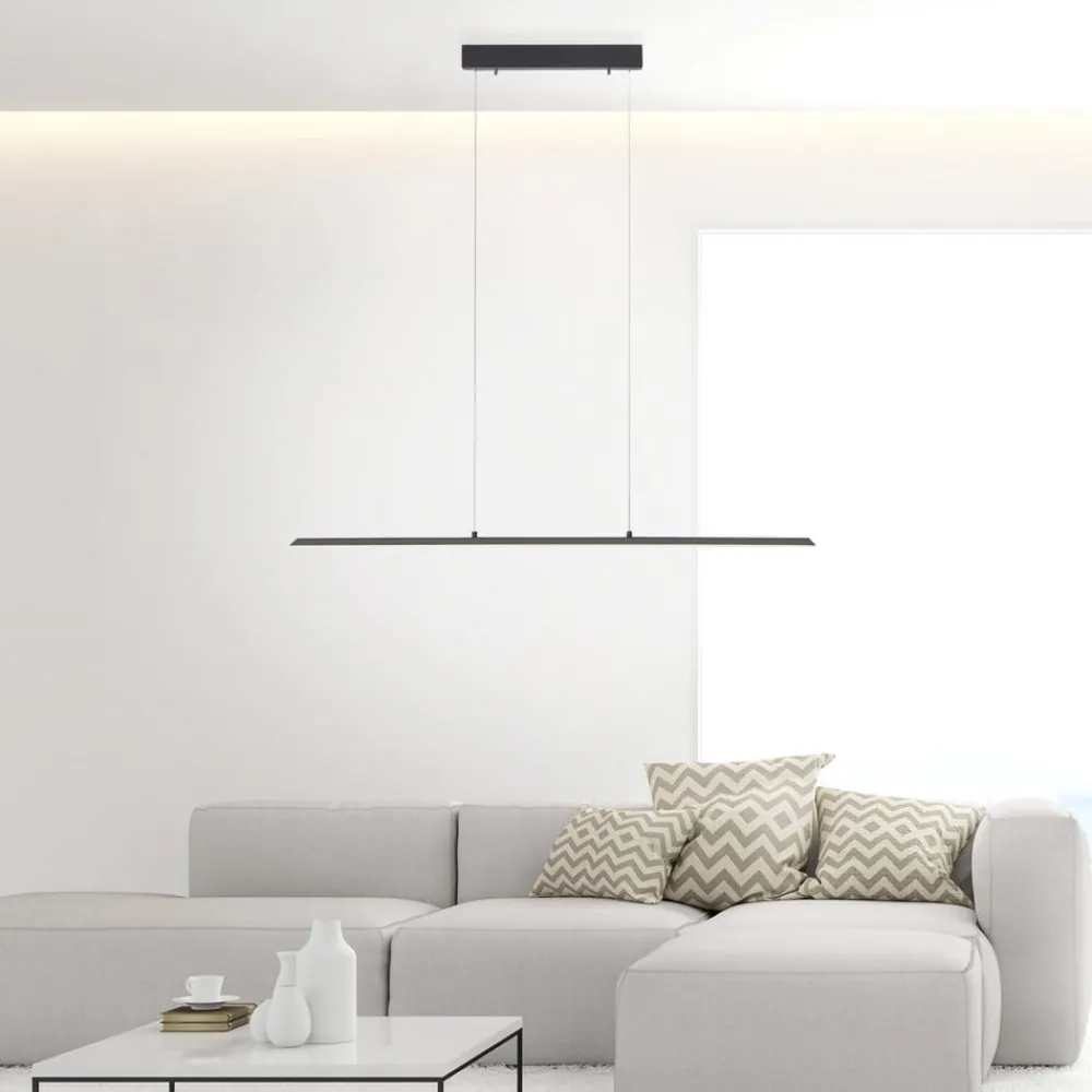 PURE Pendellamper > LED hængelampe Lite, antracit, 100 cm, CCT, dæmpbar