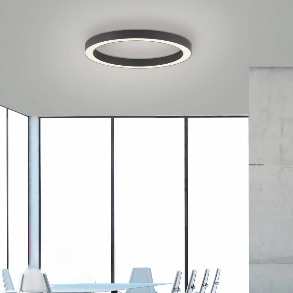 Loftlamper ^ PURE LED-loftlampe Lines, Ø 50 cm, antracit, CCT, fjernbetjening