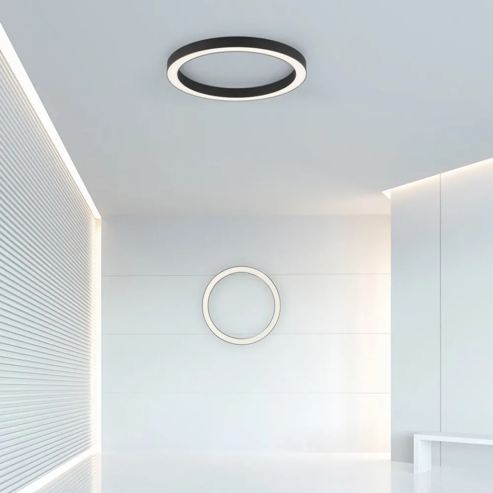 Loftlamper ^ PURE LED-loftlampe Lines, Ø 50 cm, antracit, CCT, fjernbetjening