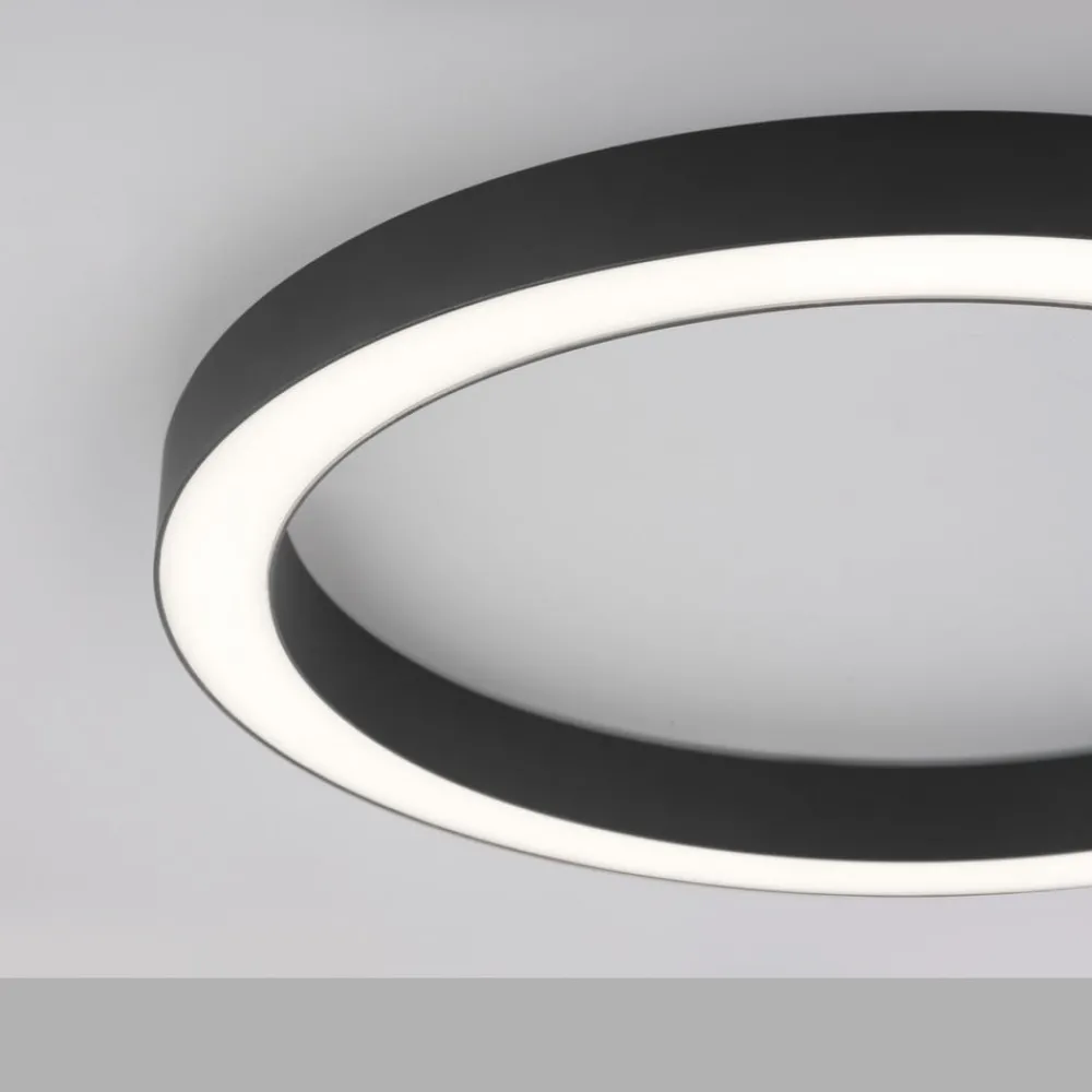 Loftlamper ^ PURE LED-loftlampe Lines, Ø 50 cm, antracit, CCT, fjernbetjening