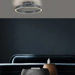 Loftlamper ^ PURE LED-loftlampe Loop, grå, metal, Ø 60 cm, CCT