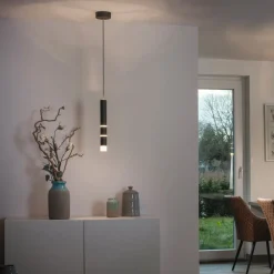 PURE Pendellamper > Vega LED-hængelampe, 1 cylinder, sort