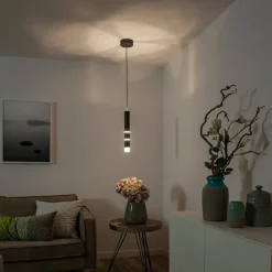 PURE Pendellamper > Vega LED-hængelampe, 1 cylinder, sort