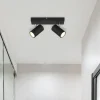 Globo Loftlamper|Spotlights > Robby loftspot, sort, længde 26 cm, 2-lys, metal