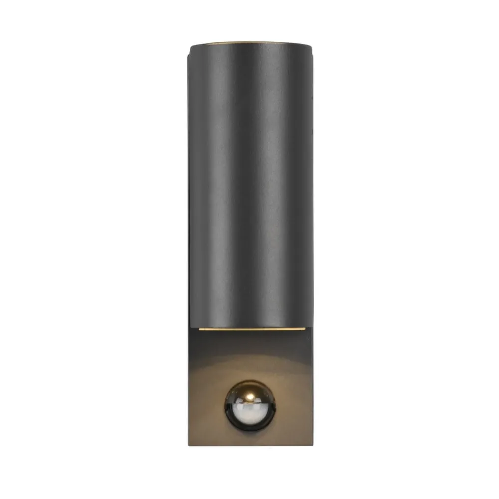 Væglampe Med Sensor|Væglamper ^ Trio Lighting Roya udendørs væglampe, 2 lk, sensor rund antracit