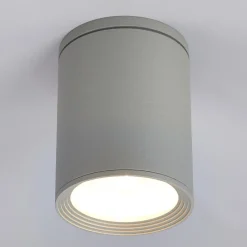 Lucande Terrassebelysning|Udendørs Loftlamper > Rund loftlampe Mianna i sølvgrå