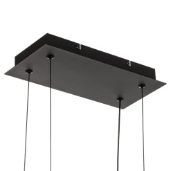 Pendellamper|Pendellamper ^ Trio Lighting Salinas LED-hængelampe, 3.000 K, mat sort