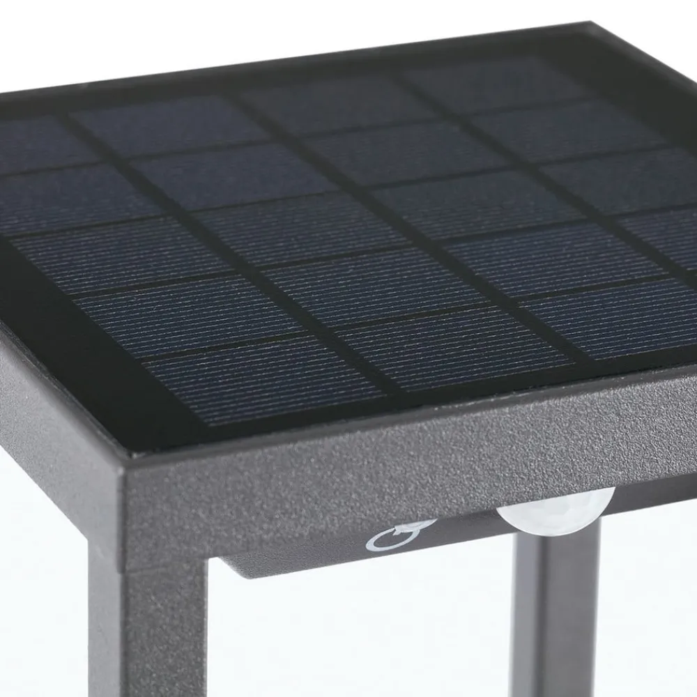 FARO BARCELONA Solcelle Lampe Med Sensor|Sokkellamper Med Sensor > Saura solcelle LED-sokkelampe med bevægelsesdetektor