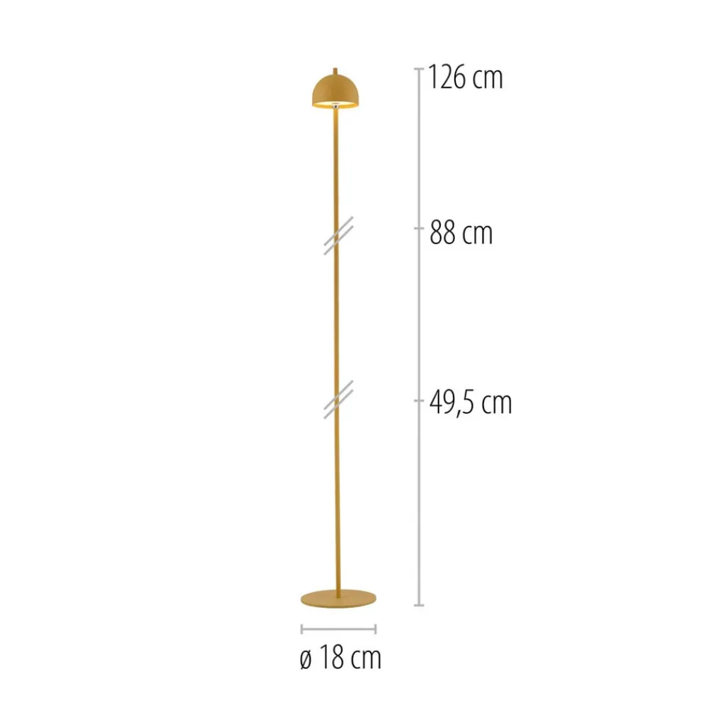 Schöner Wohnen Terrassebelysning > LED-akku-gulvlampe Bellies, Blütenzauber IP54