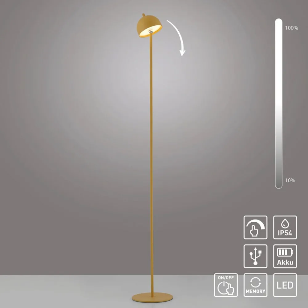 Schöner Wohnen Terrassebelysning > LED-akku-gulvlampe Bellies, Blütenzauber IP54