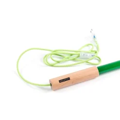SELETTI Gulvlamper|Gulvlamper > LED-lampe Linea, grøn, trædetaljer, universal