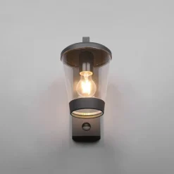 Væglampe Med Sensor ^ Trio Lighting Sensor-udendørs væglampe CAVADO, antracit, højde 28 cm, IP44