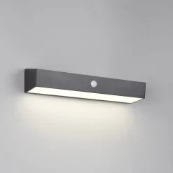 Reality Leuchten Væglampe Med Sensor > Silves solcellelampe til vægmontering, sort, sensor, IP44