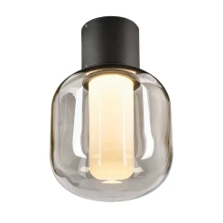 Udendørs Loftlamper ^ SLV Ovalisk LED udendørs loftslampe CCT