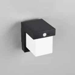 Væglampe Med Sensor ^ Reality Leuchten Solar-væglampe Colombo, sort mat, højde 14 cm, sensor