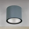 Udendørs Loftlamper ^ ORION Sputnik LED-loftspot, IP65, Ø 14,5 cm, antracit