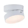 LUTEC Loftlamper|Spotlights > Stanos LED-loftspot, CCT, 1 lyskilde, hvidt
