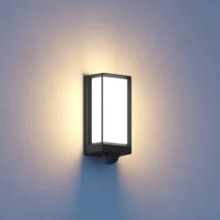 STEINEL Væglamper > L42 SC udendørs LED-væglampe sensor antracit