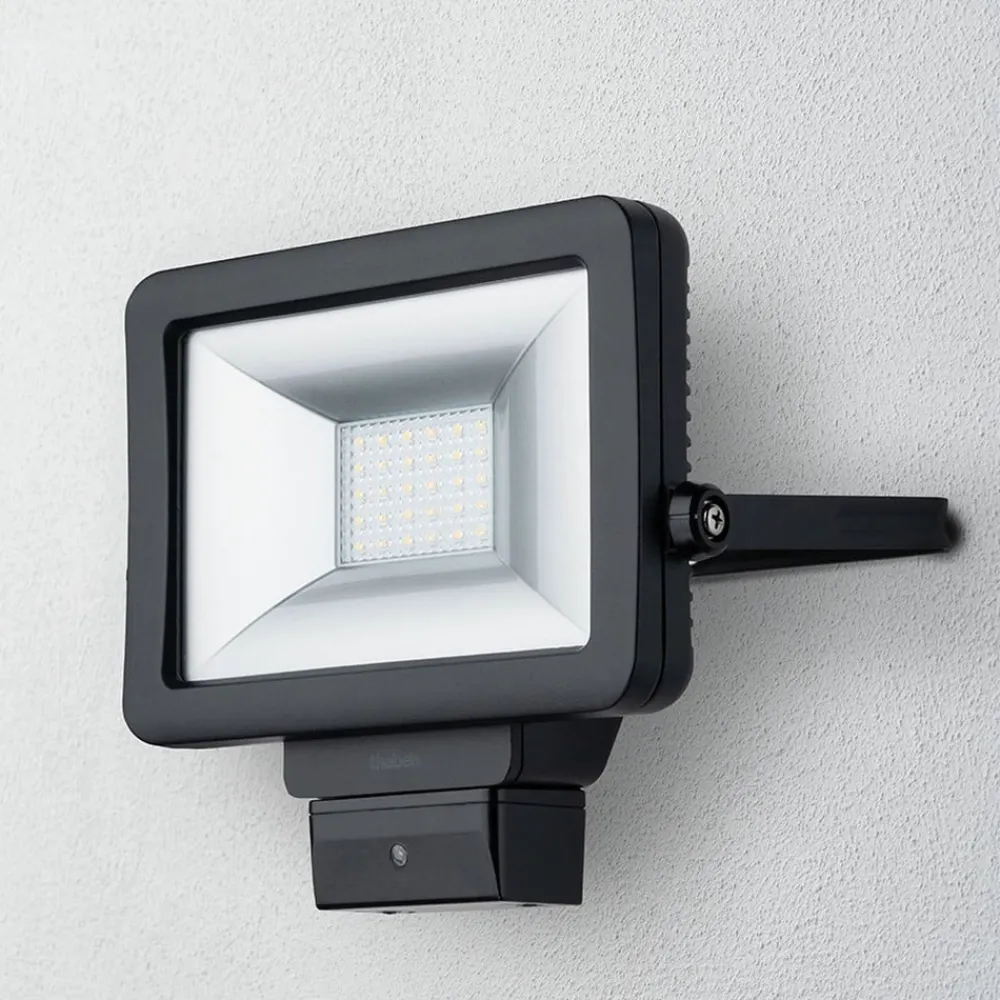 Theben Udendørs Spot > theLeda B20L udendørs LED-spot, sort