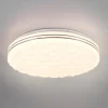 Loftlamper|Loftlamper ^ Reality Leuchten Tiger LED-loftlampe RGB CCT starlight-effekt