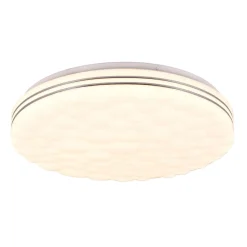 Loftlamper|Loftlamper ^ Reality Leuchten Tiger LED-loftlampe RGB CCT starlight-effekt