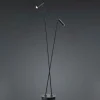 Arbejdsrum/Kontor|Gulvlamper ^ HELL Tom LED-gulvlampe, 2 lyskilder, sort