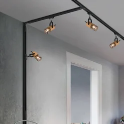 Trio Lighting Skinnesystem > Tosh skinnespot til DUOline, mat sort, trædetalje