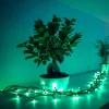 Dekorationsbelysning|Julepynt ^ twinkly RGB lyskæder, sort, 250 lys 20m